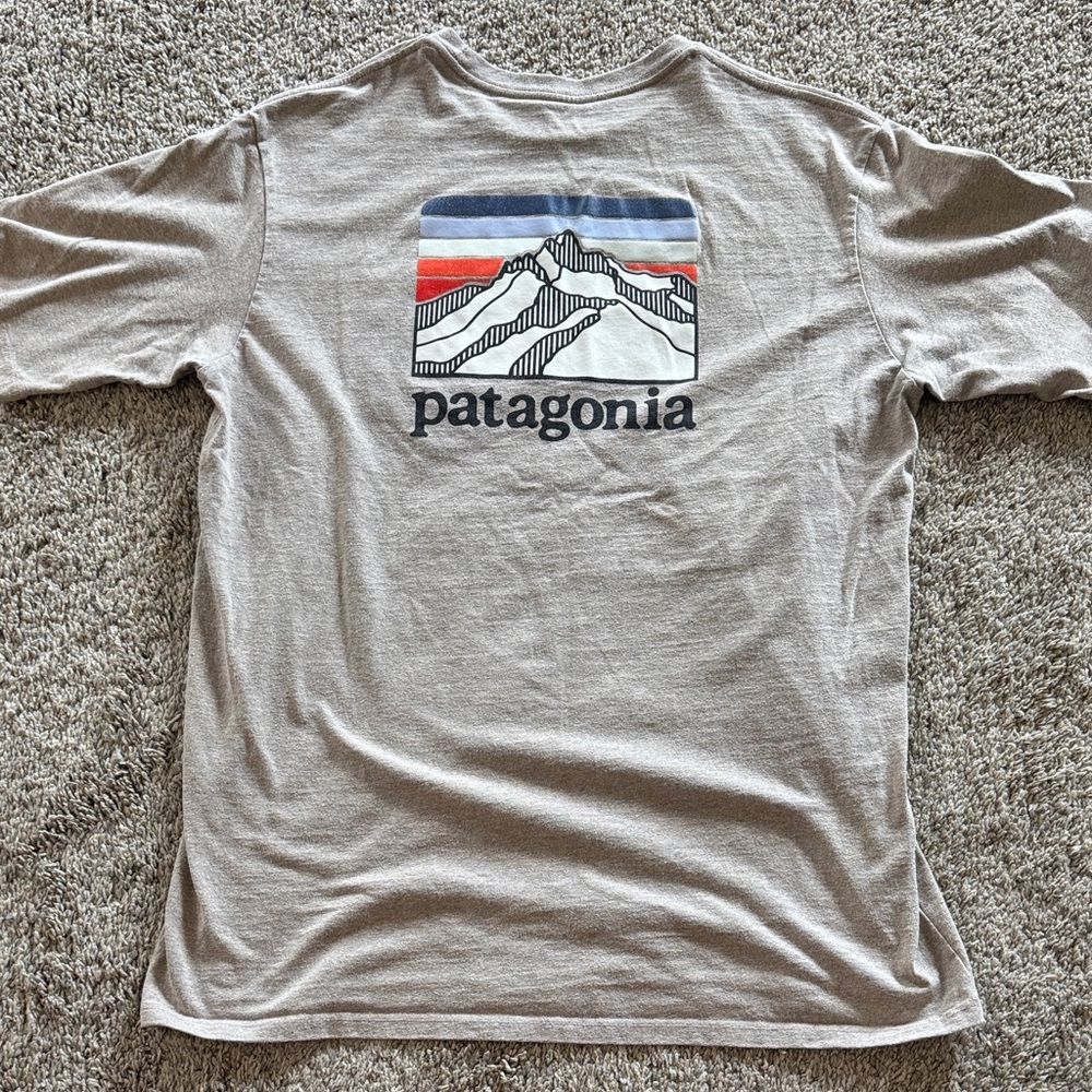 Patagonia Men's Beige Mountain Graphic Tee